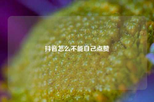 抖音怎么不能自己点赞
