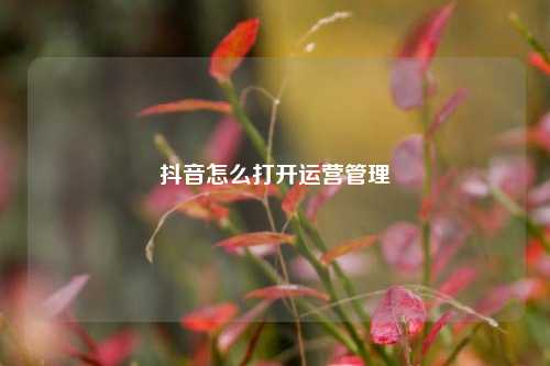 抖音怎么打开运营管理