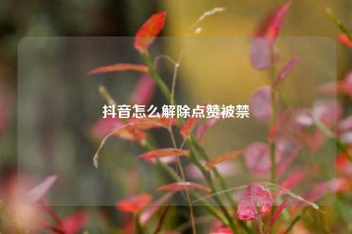 抖音怎么解除点赞被禁