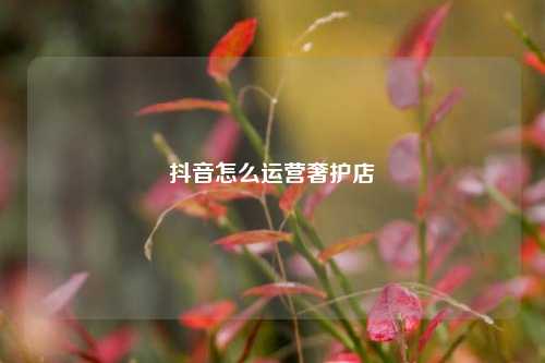 抖音怎么运营奢护店