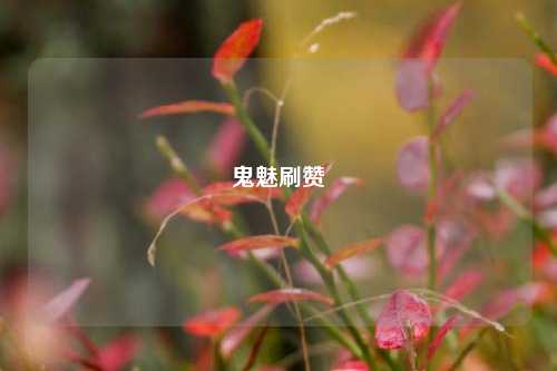 鬼魅刷赞