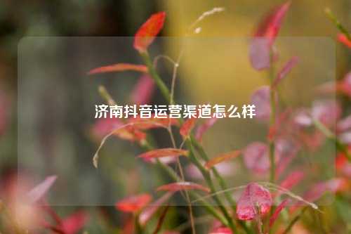 济南抖音运营渠道怎么样