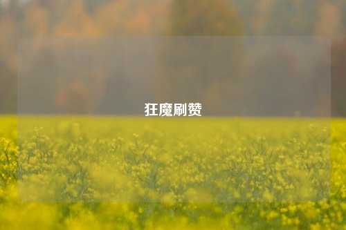 狂魔刷赞