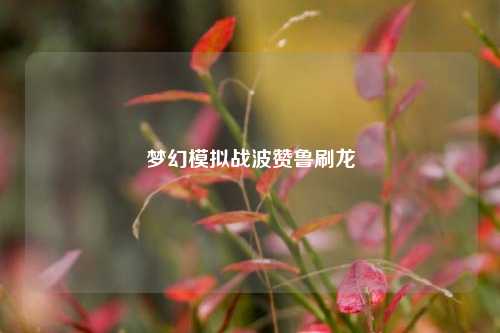 梦幻模拟战波赞鲁刷龙