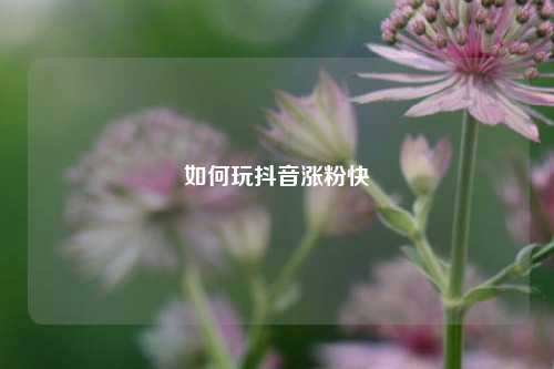 如何玩抖音涨粉快