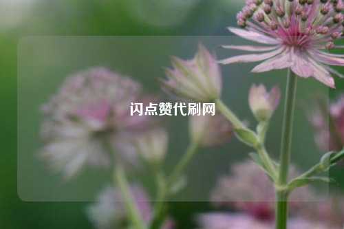 闪点赞代刷网
