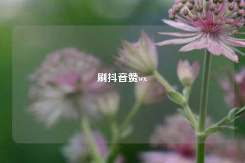刷抖音赞wx