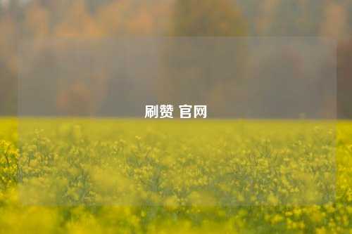 刷赞 官网