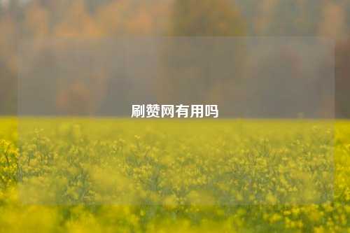 刷赞网有用吗