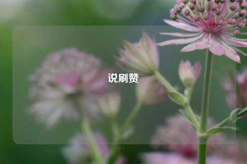 说刷赞