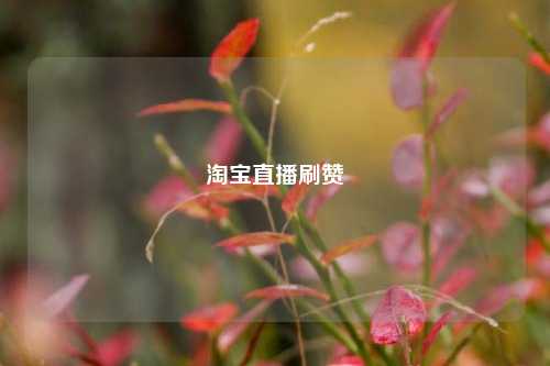 淘宝直播刷赞