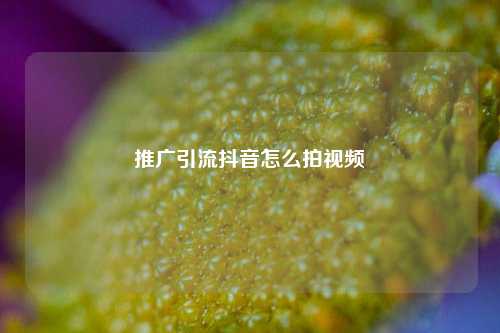 推广引流抖音怎么拍视频