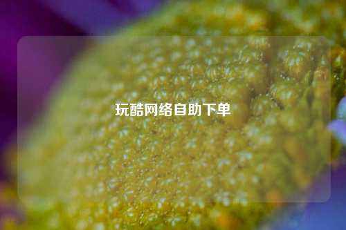 玩酷网络自助下单