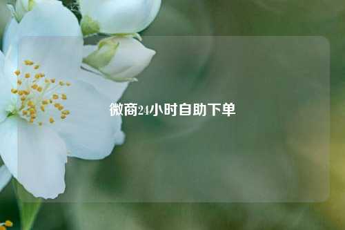 微商24小时自助下单