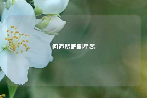 问道赞吧刷星器