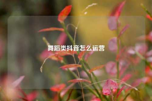 舞蹈类抖音怎么运营