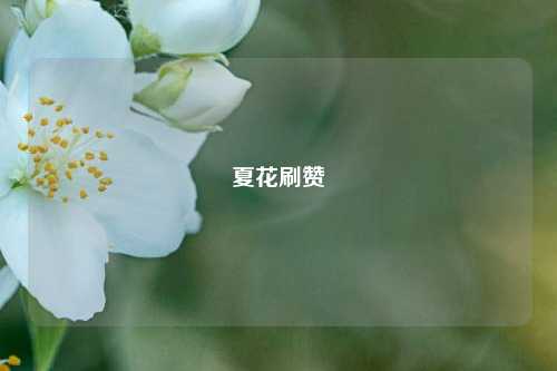 夏花刷赞